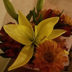 Meet your Posher, Melanie